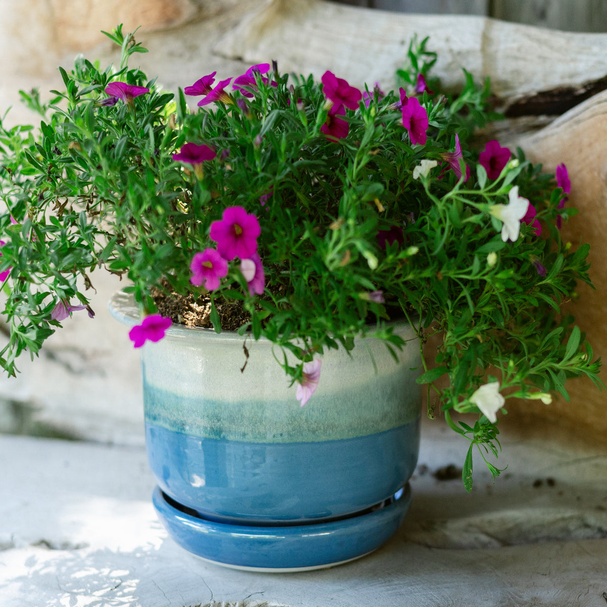 6 Inch Ring Planter