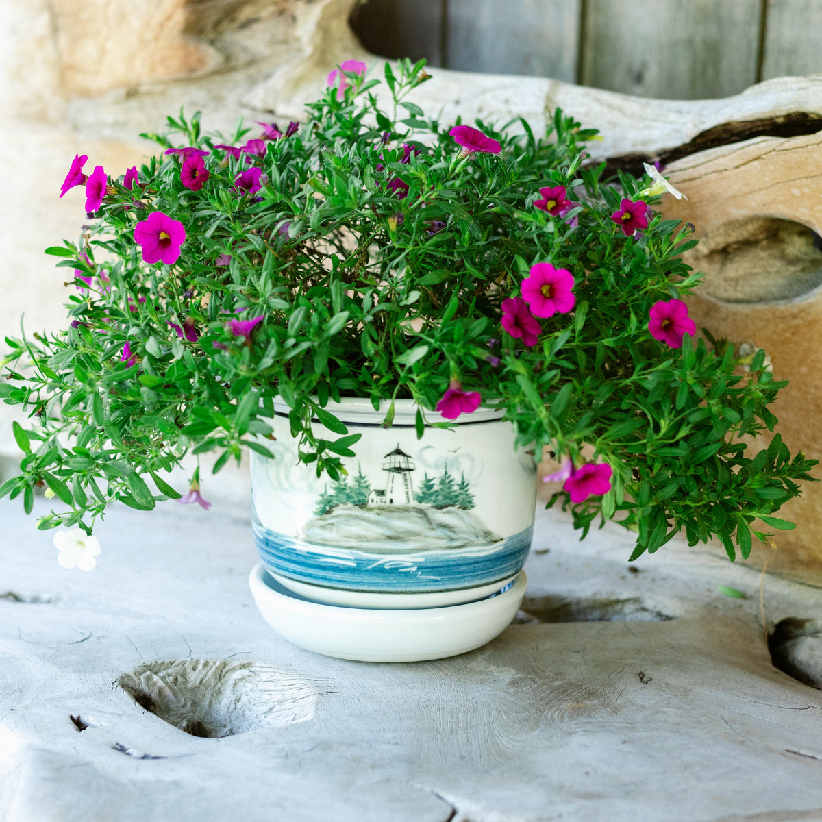 6 Inch Ring Planter