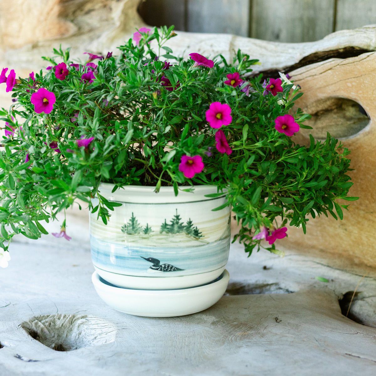 6 Inch Ring Planter