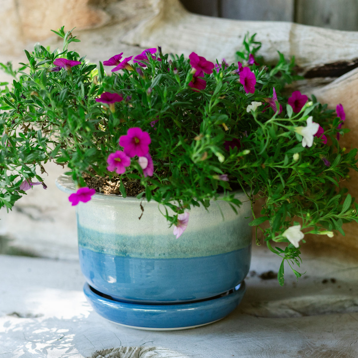 7 Inch Ring Planter