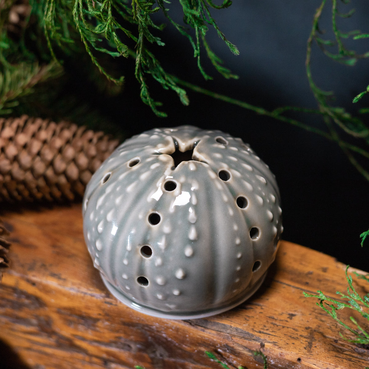Urchin Luminary