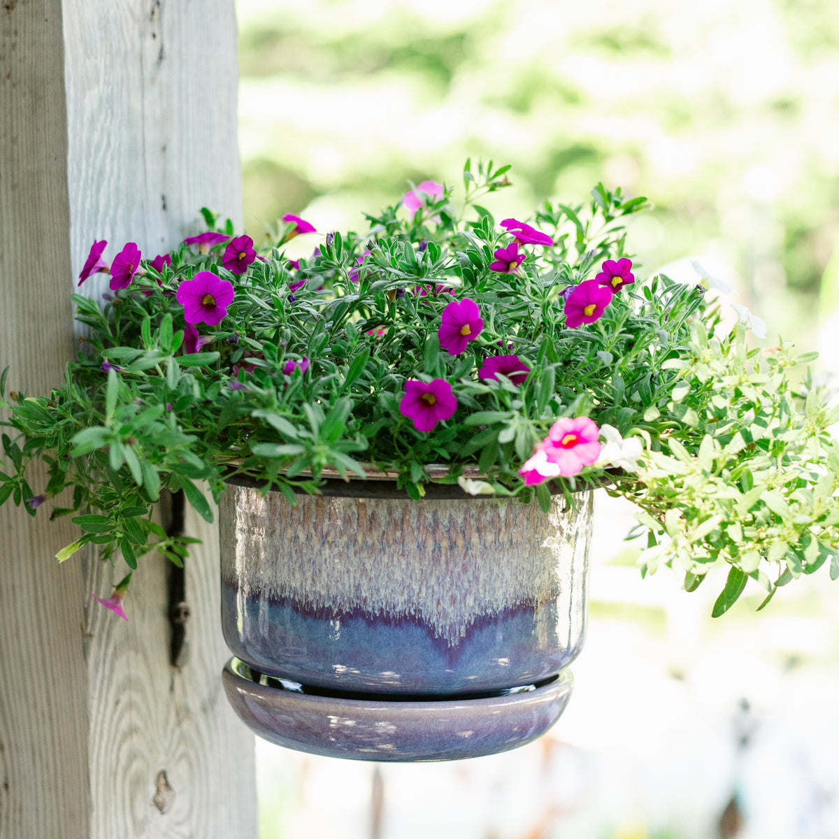 Wall Mounted Hanging Ring for Ring Planters