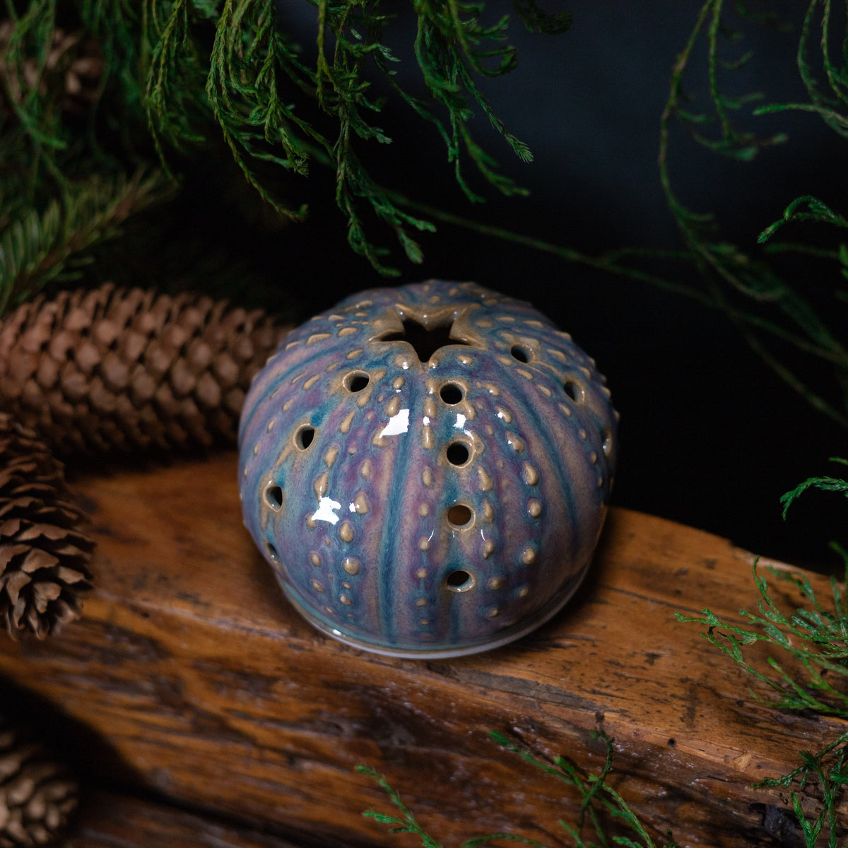 Urchin Luminary