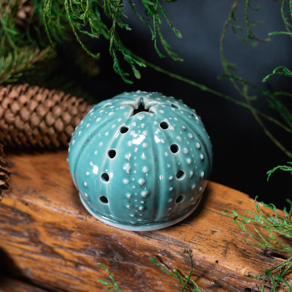 Urchin Luminary