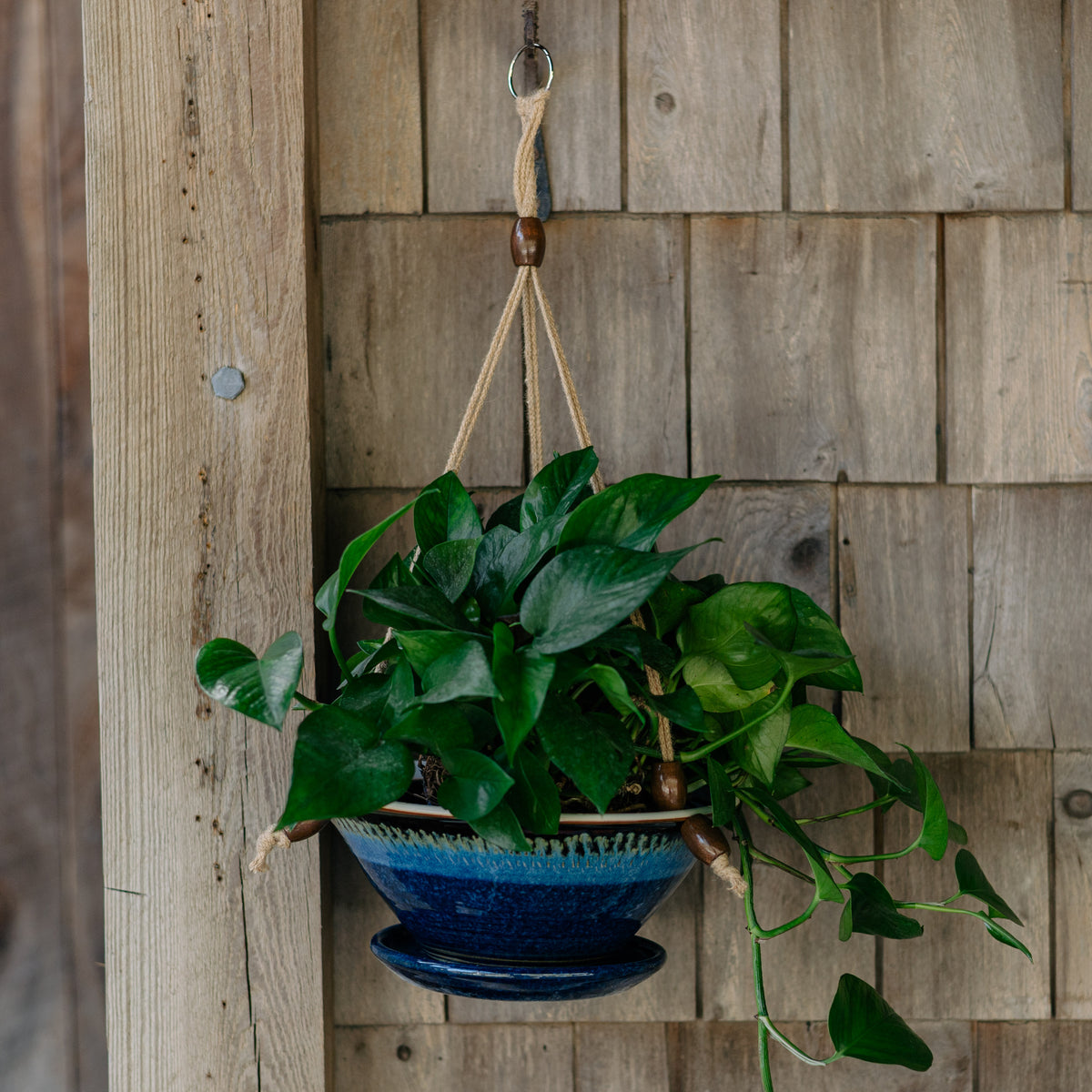 9-1/2 Inch Hanging Planter