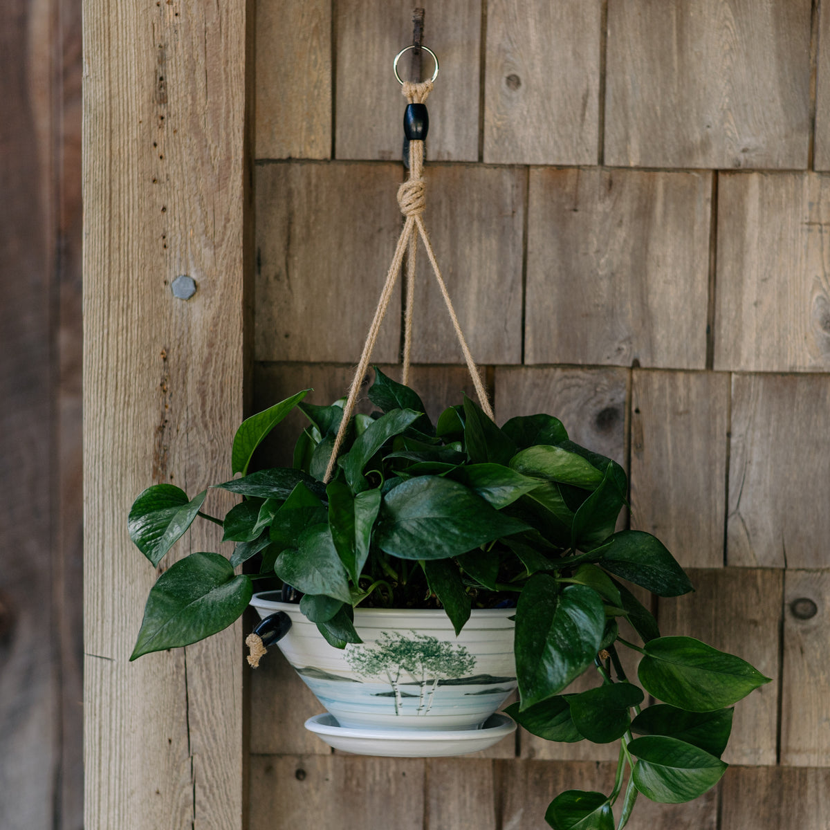 9-1/2 Inch Hanging Planter