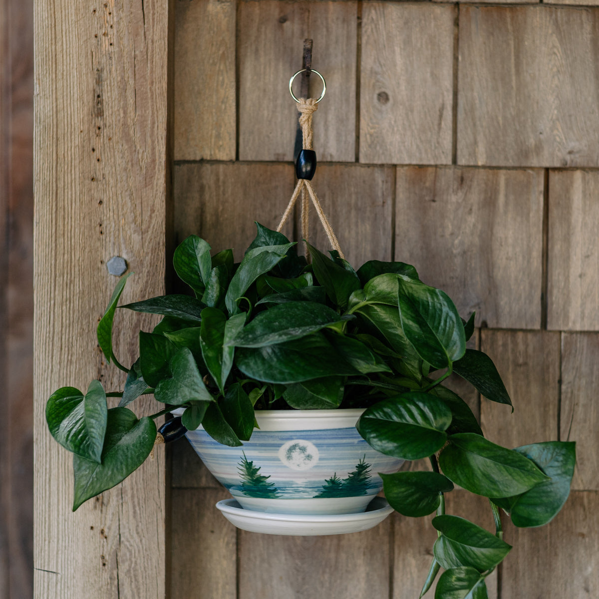 9-1/2 Inch Hanging Planter