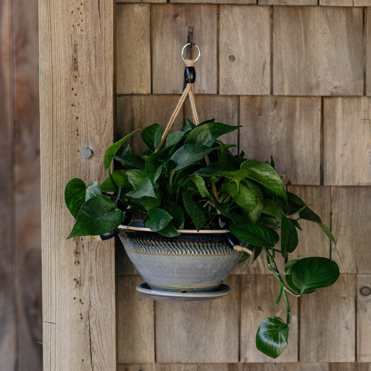 9-1/2 Inch Hanging Planter