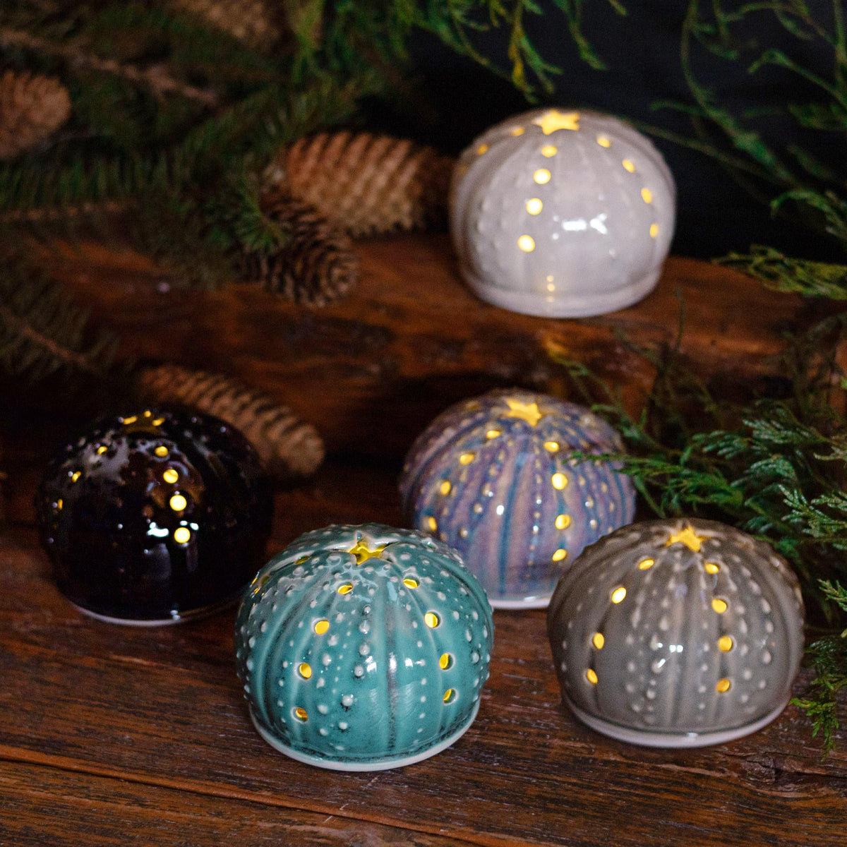 Urchin Luminary