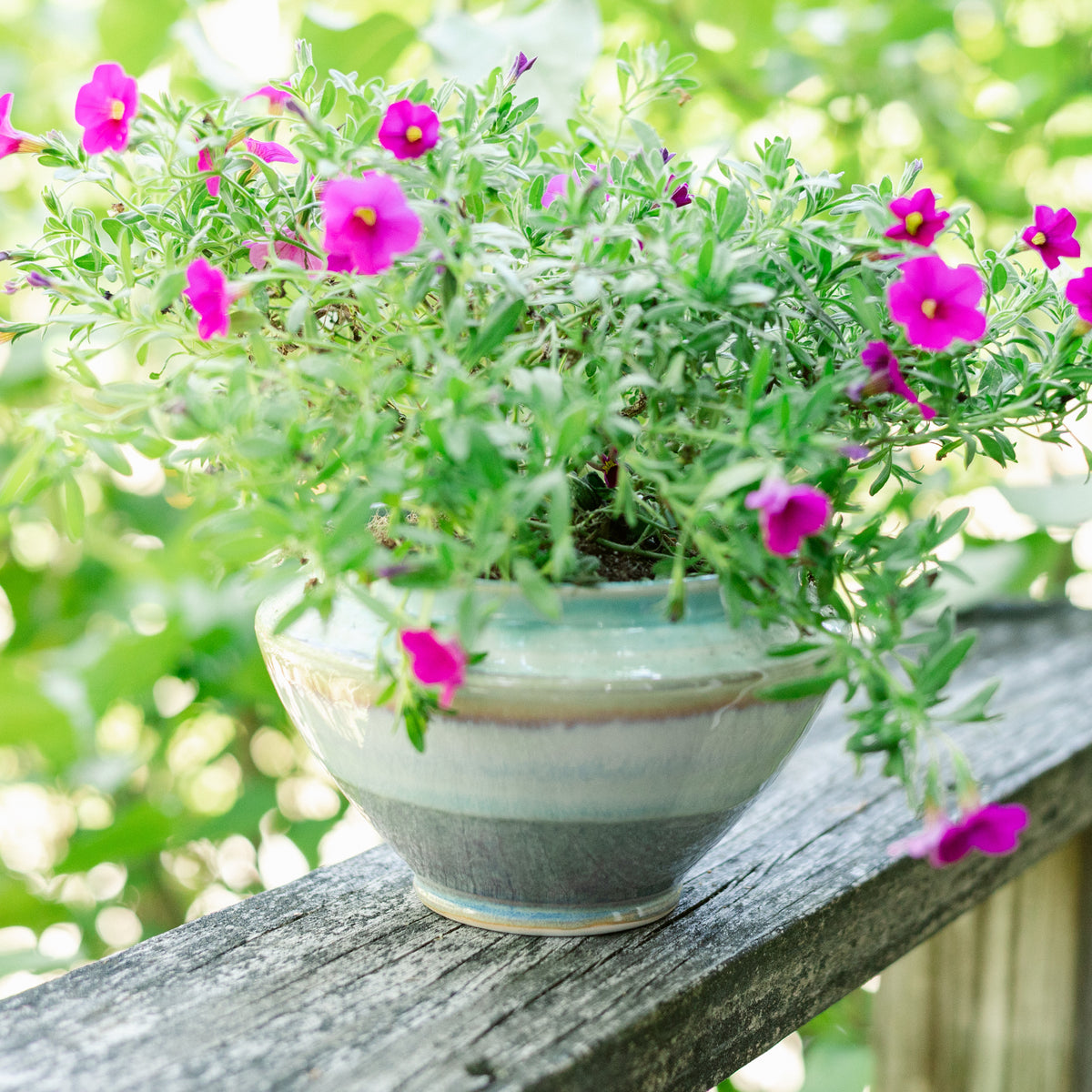Tabletop Planter
