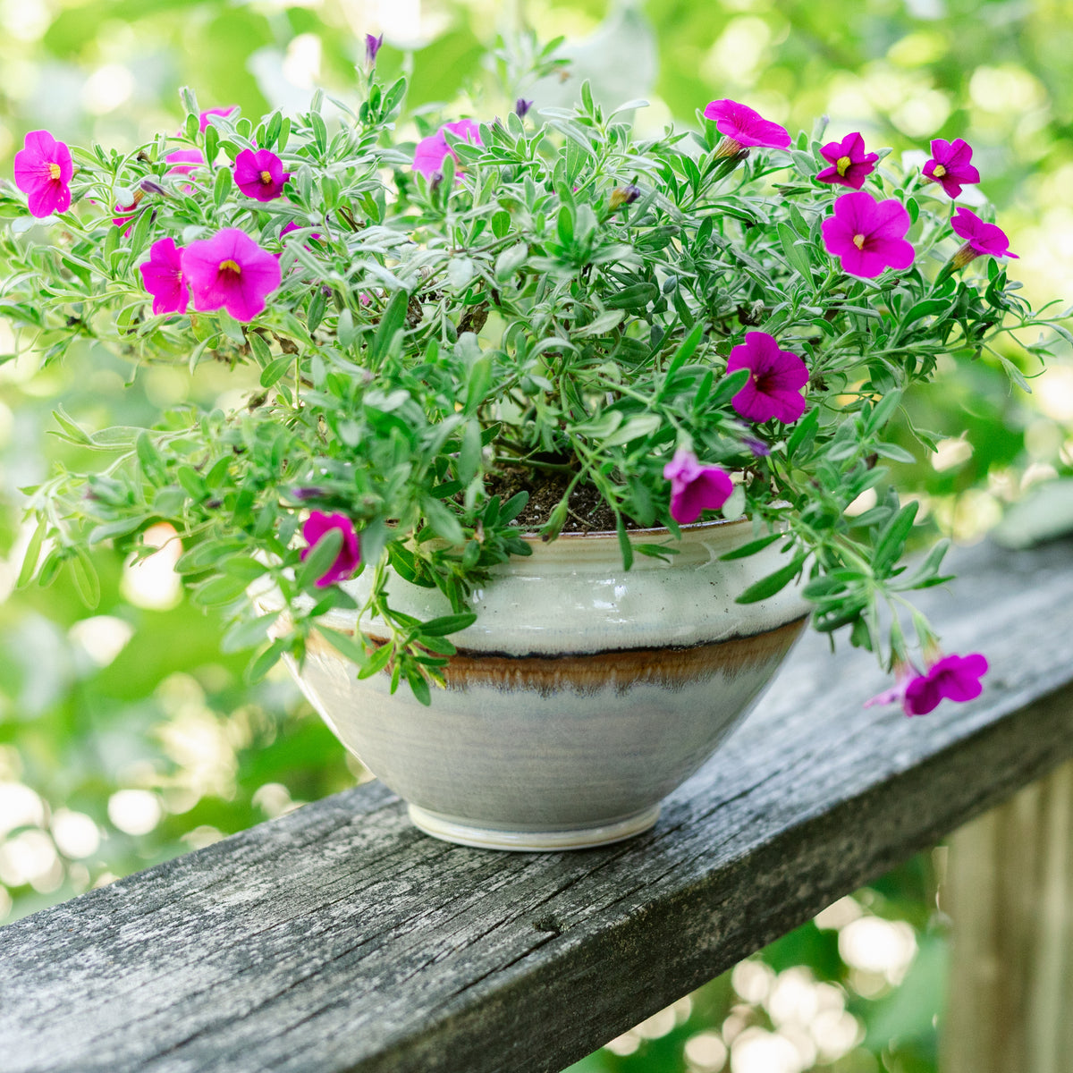 Tabletop Planter