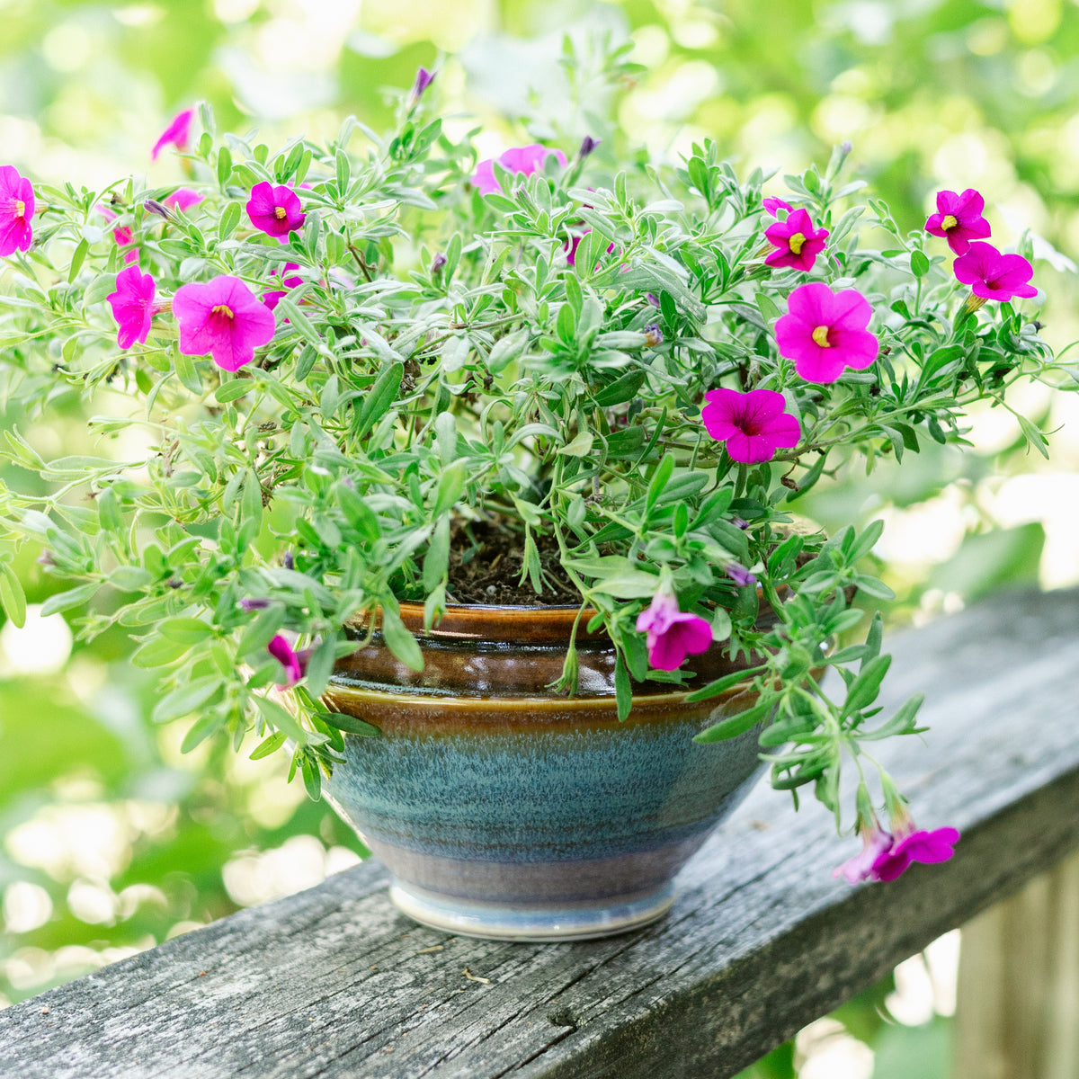 Tabletop Planter